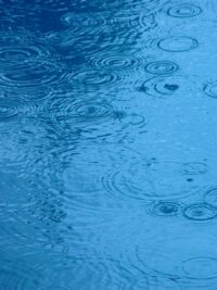 Rain Ripples